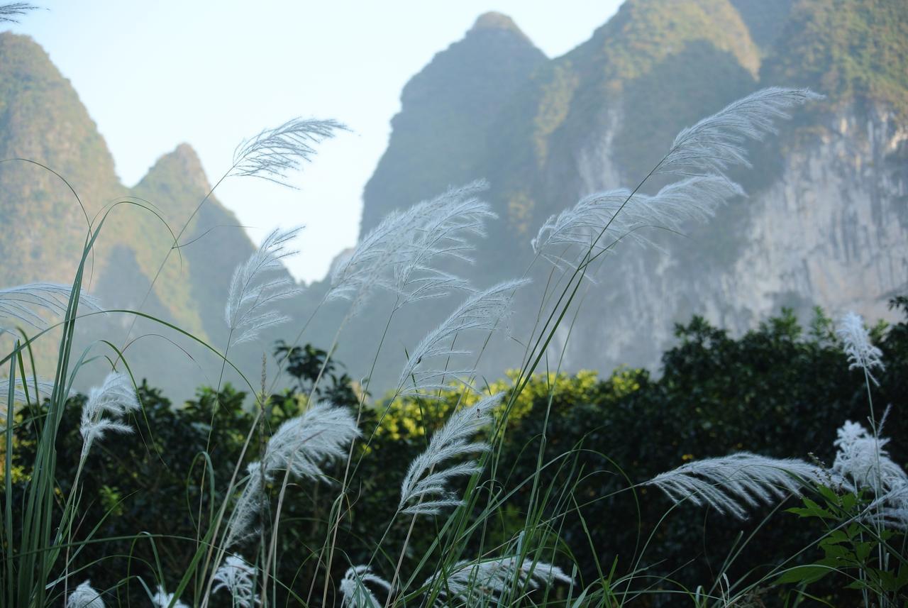 Nirvana Organic Farm Inn Yangshuo Zewnętrze zdjęcie