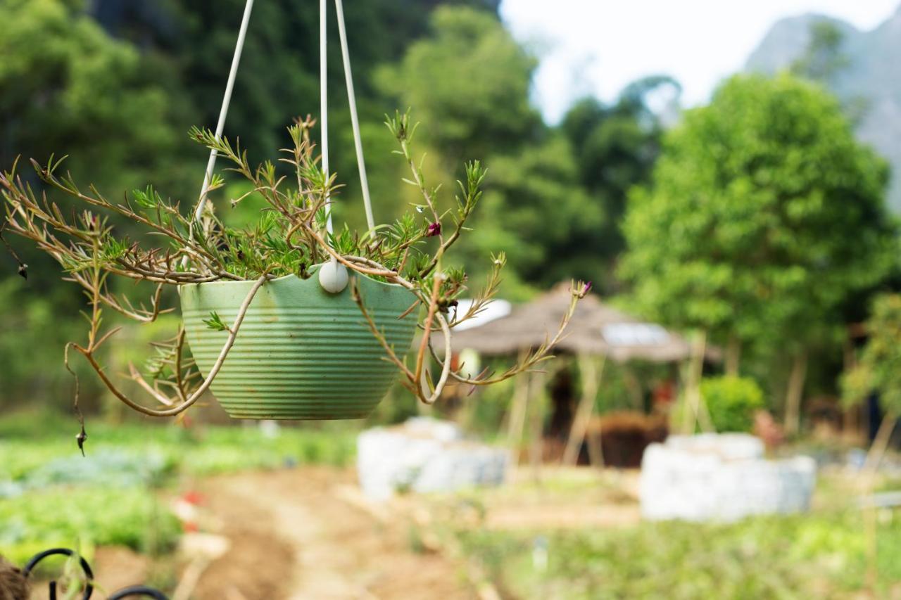 Nirvana Organic Farm Inn Yangshuo Zewnętrze zdjęcie
