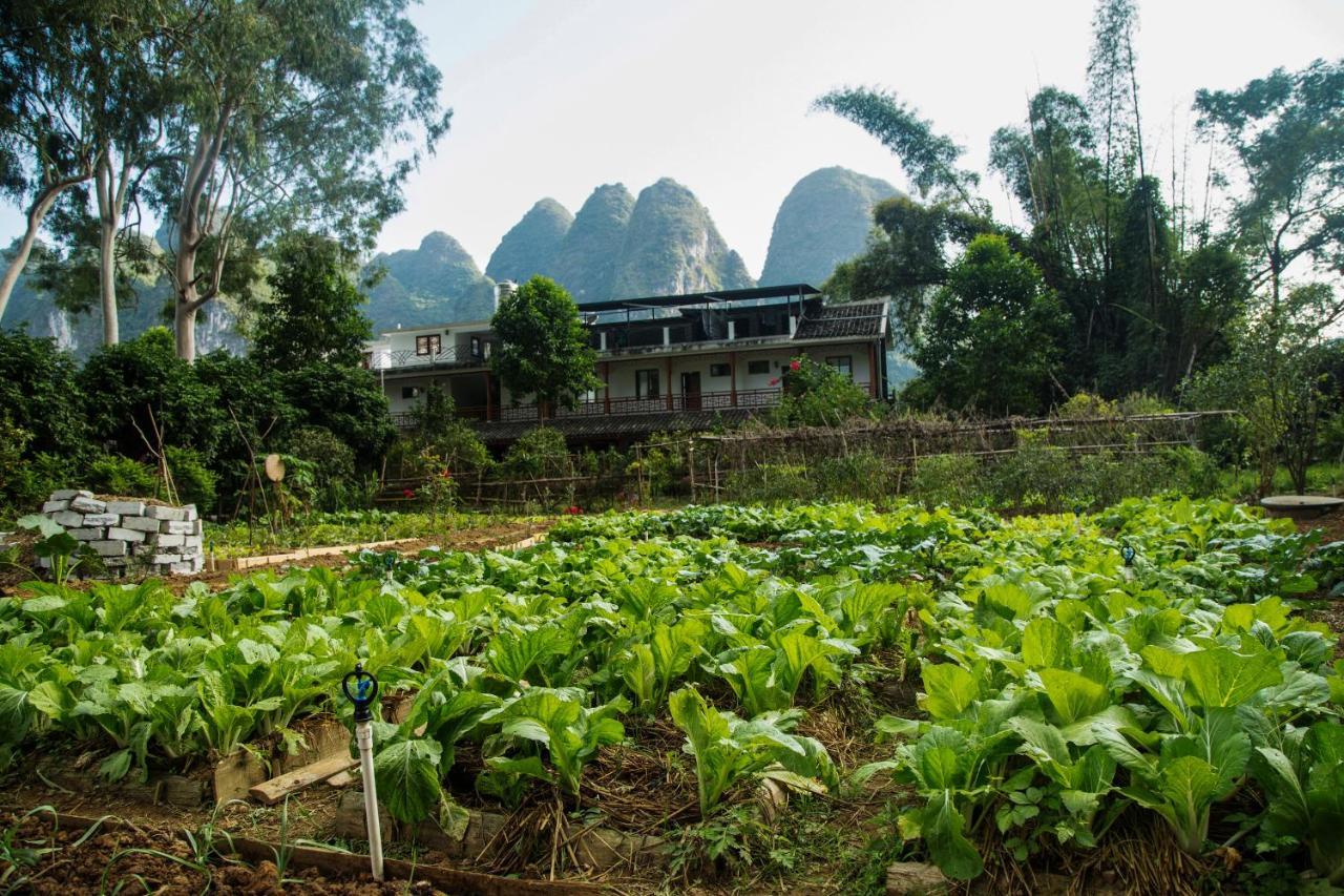 Nirvana Organic Farm Inn Yangshuo Zewnętrze zdjęcie