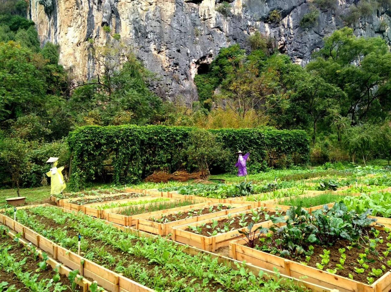 Nirvana Organic Farm Inn Yangshuo Zewnętrze zdjęcie